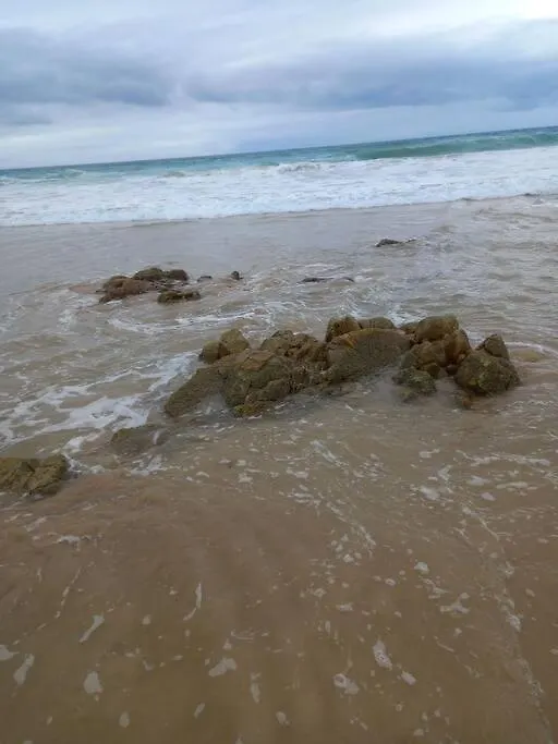Homely 2Bedroom With A Beach & Harbour View Port Elizabeth 0*,